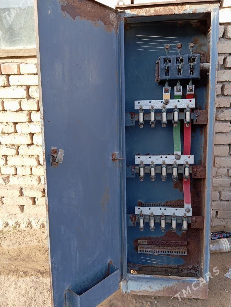 tok şit - Mary - img 1