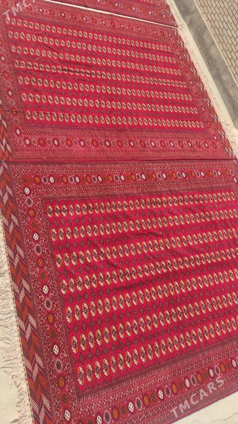 el haly 4/6 - Бахарден - img 1