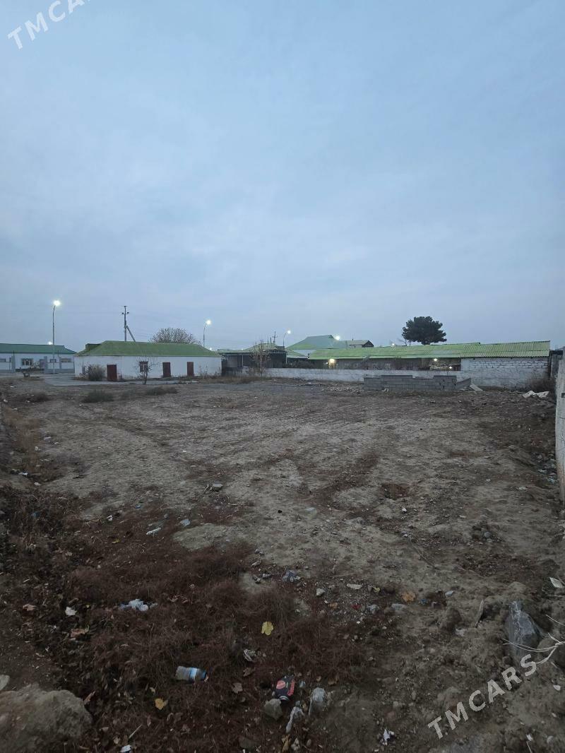 Gypjak bos mellek 16 sotok - Кипджак - img 1