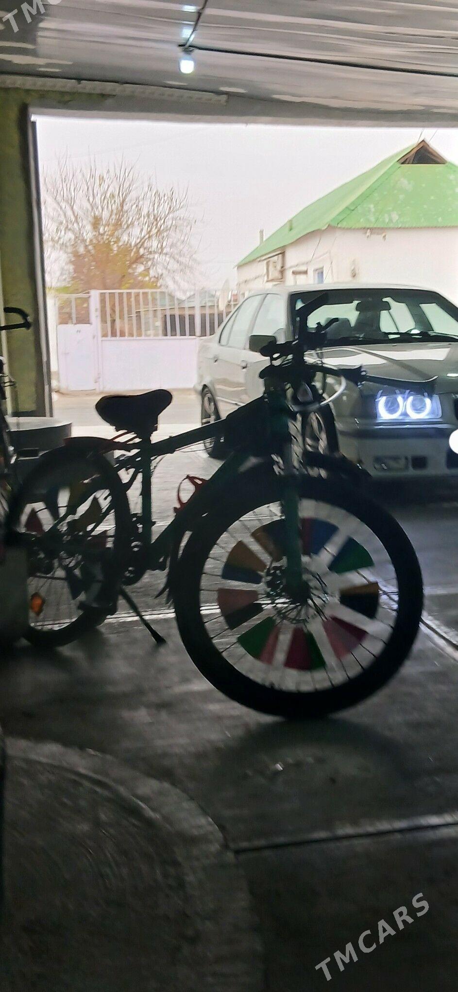 tigir - Büzmeýin - img 1