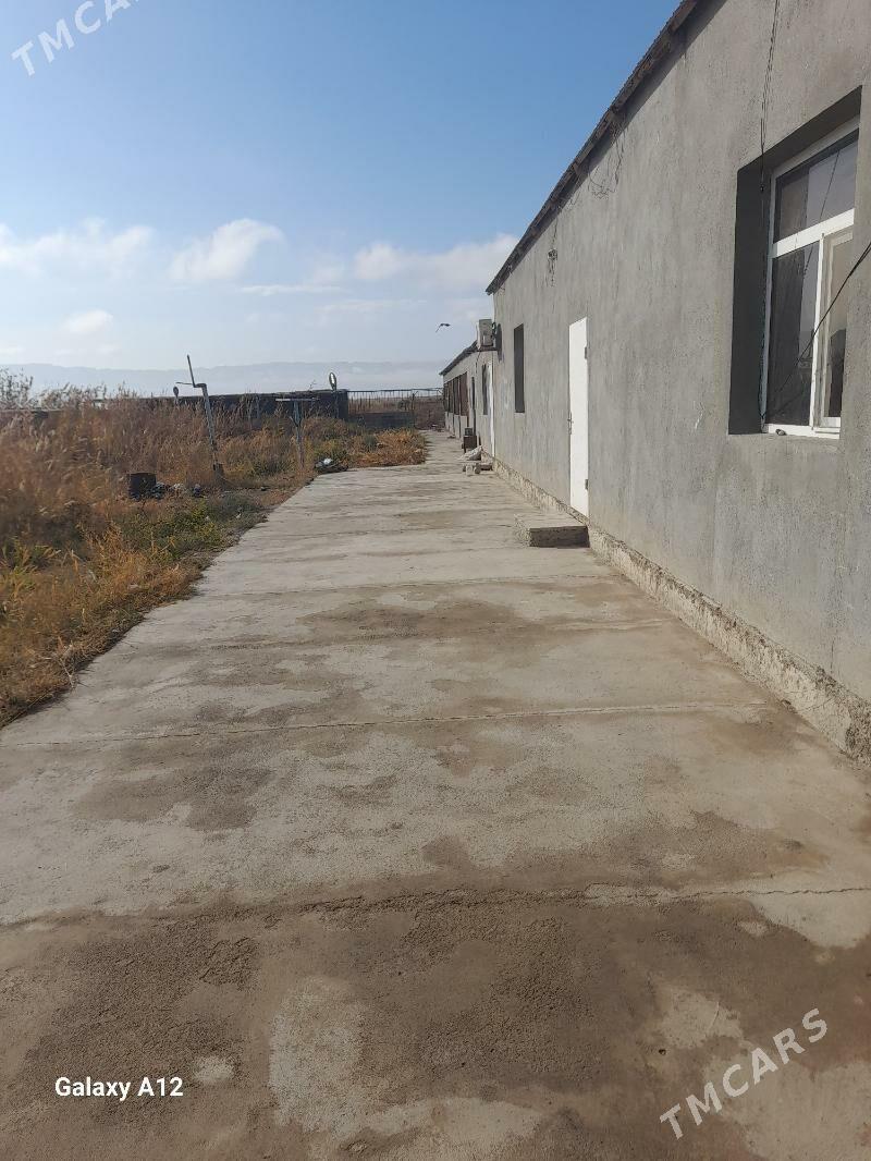 Satlyk 14. pemka jay - Ýaşlyk - img 1