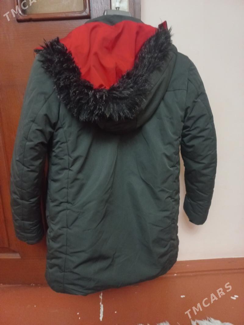 oglan kurtga - Hitrowka - img 1