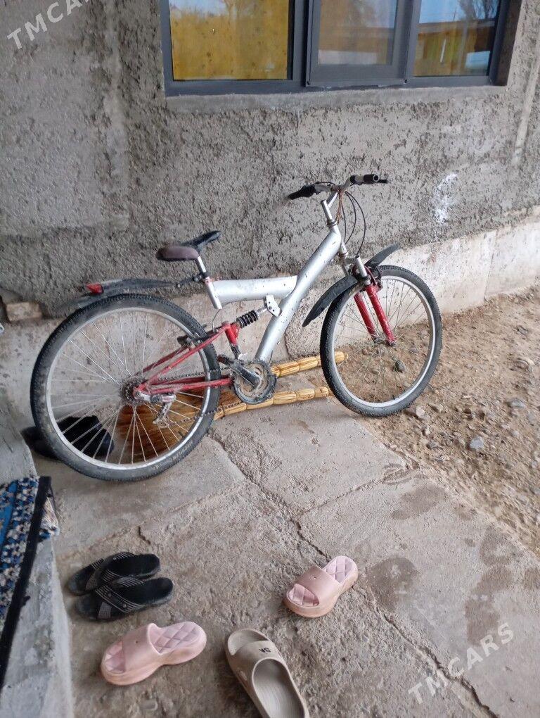 tigir - Кака - img 1