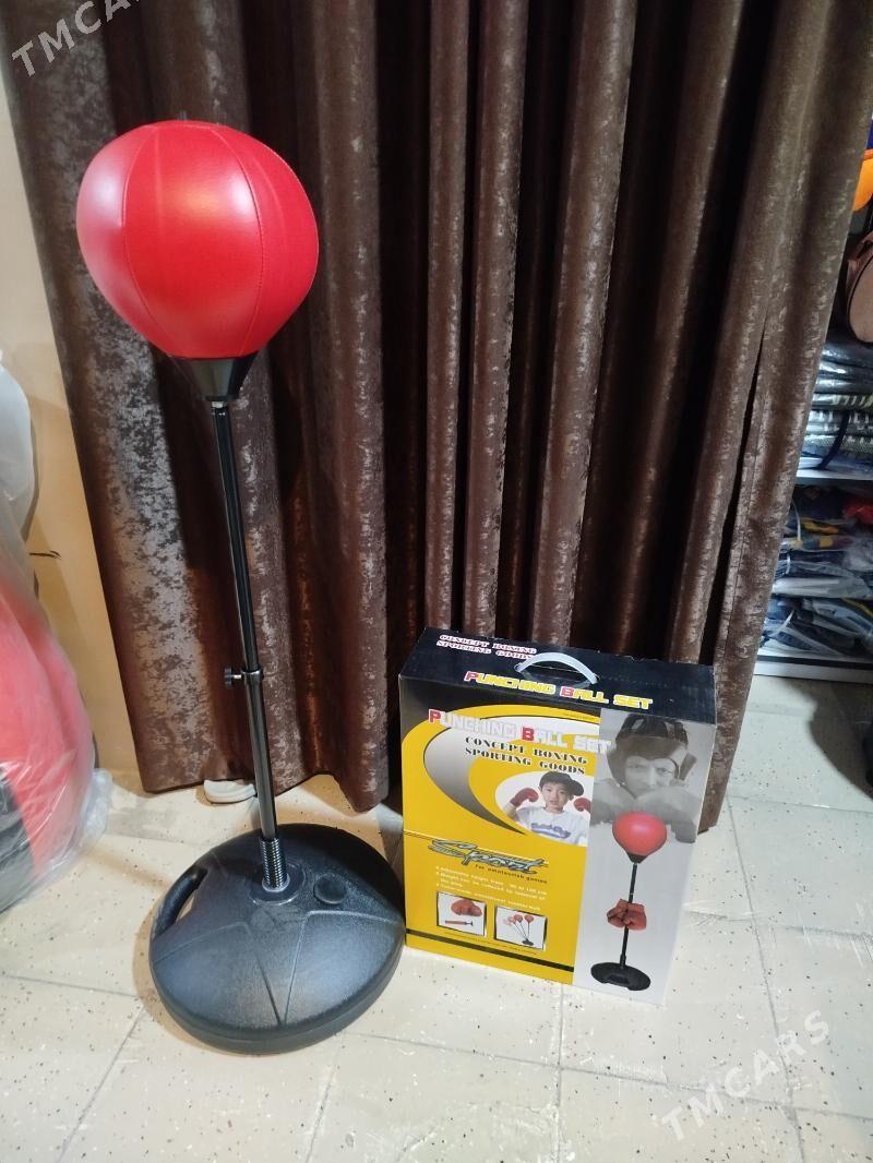 Grusa cagalara - Mary - img 1