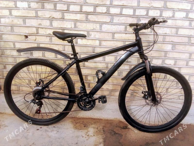 Tiger Spartiwny - Мары - img 1