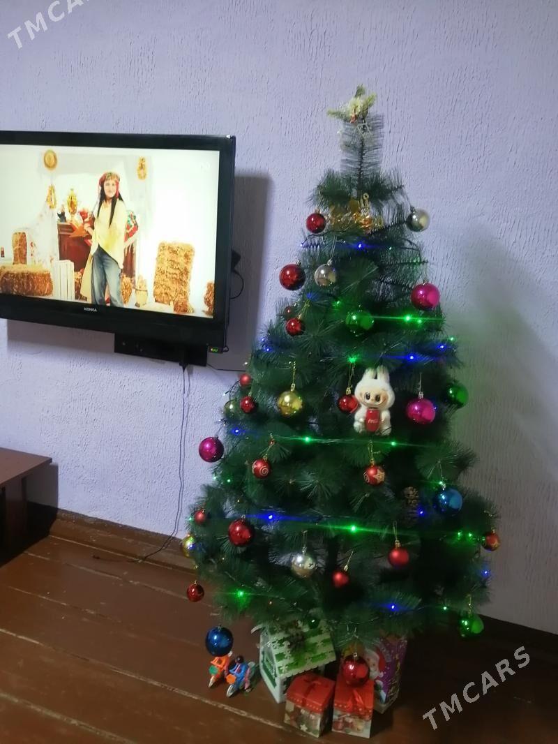 Yolka - Daşoguz - img 1