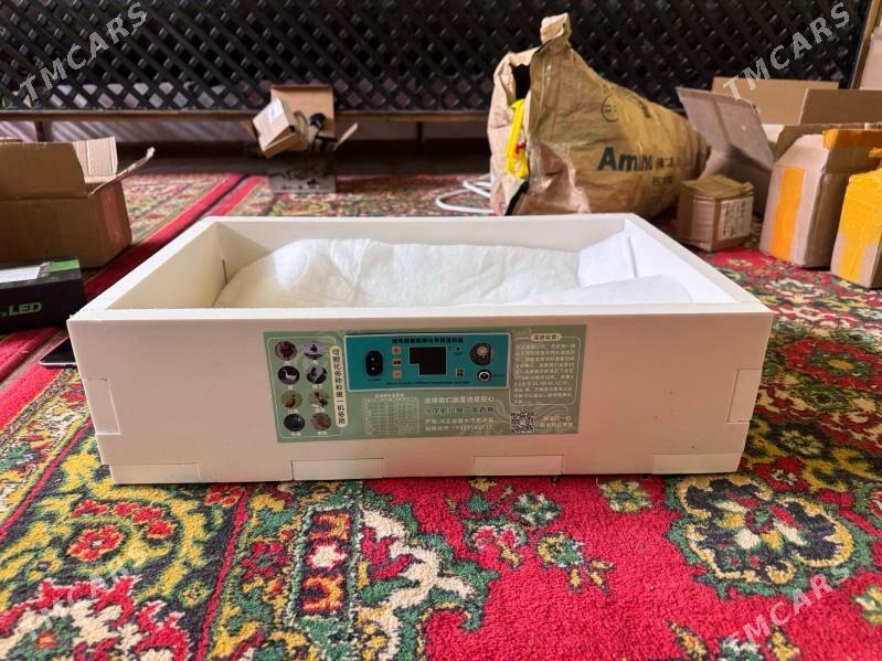 inkubator - Чоганлы - img 1