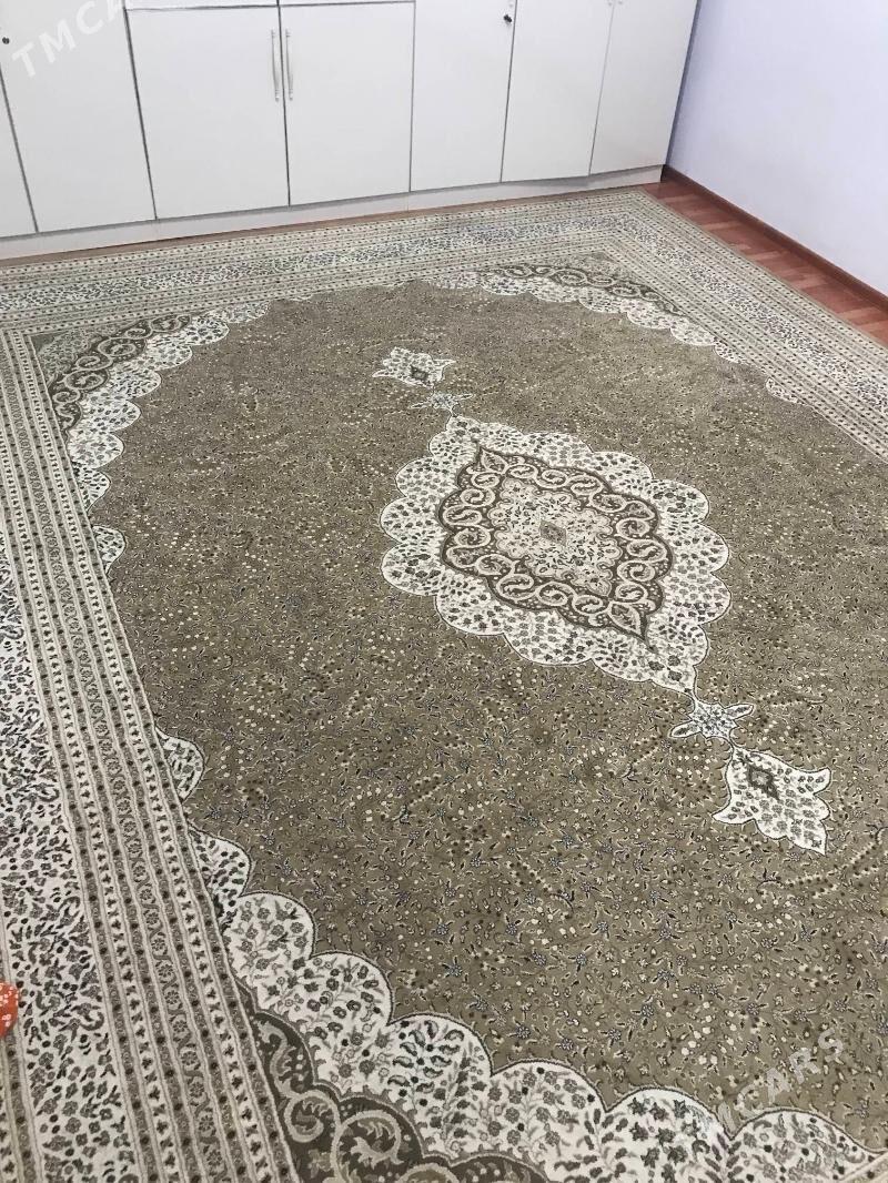 Haly - Balkanabat - img 1