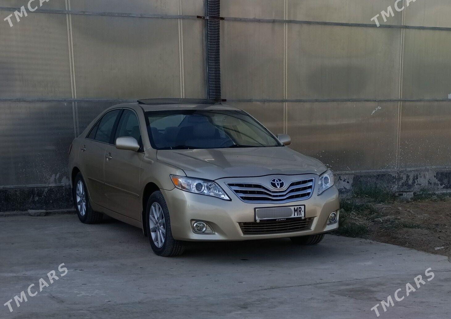 Toyota Camry 2010 - 250 000 TMT - Sakarçäge - img 1