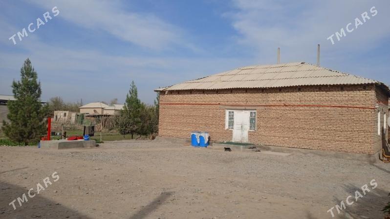 Babadayhan - Бабадайхан - img 1