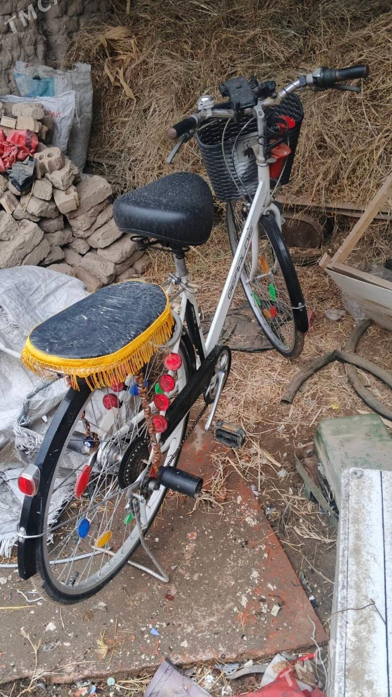 welsepit - Мары - img 1