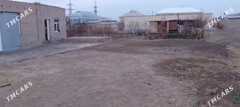 Mellek - Мары - img 1