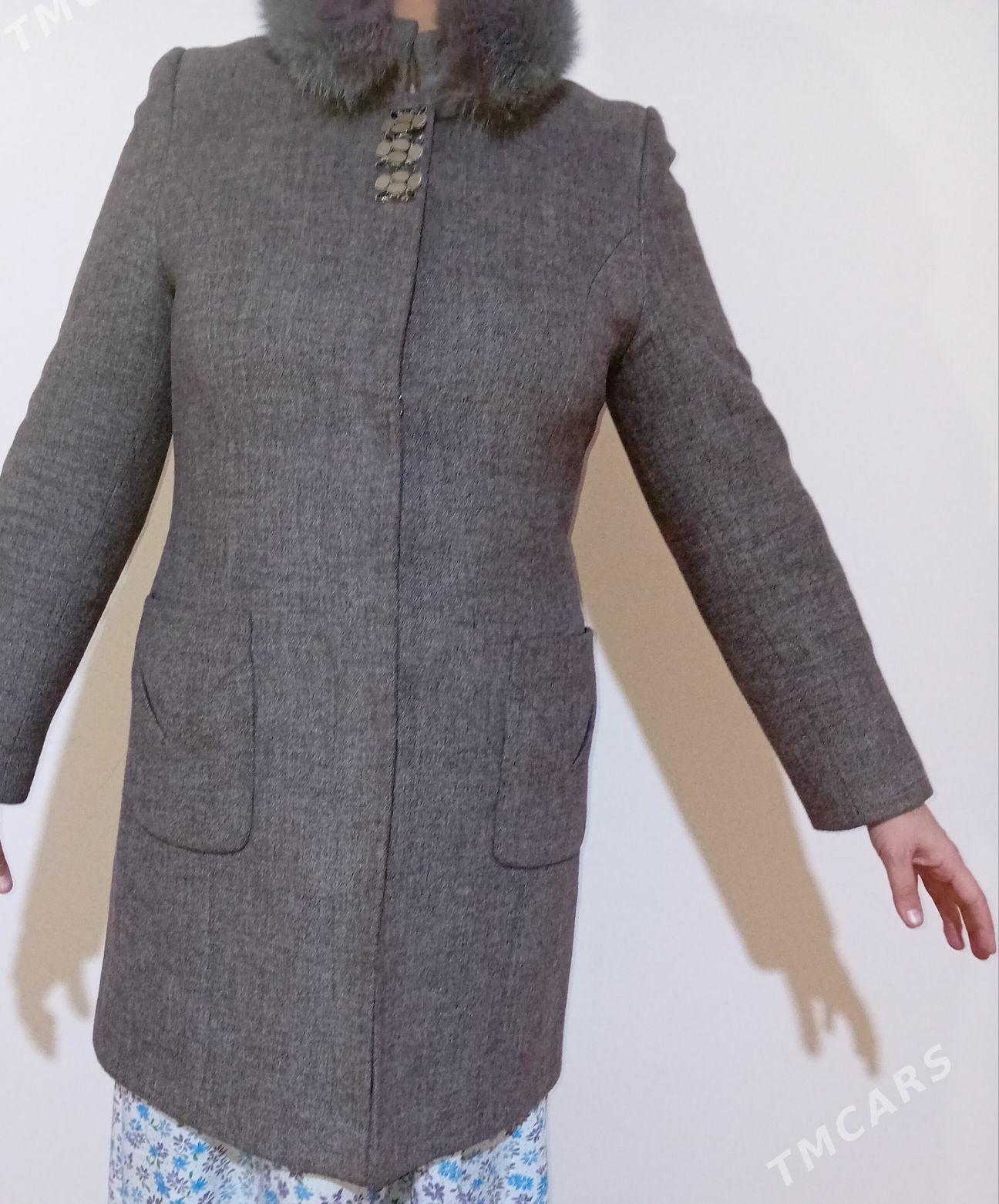 palto - Daşoguz - img 1