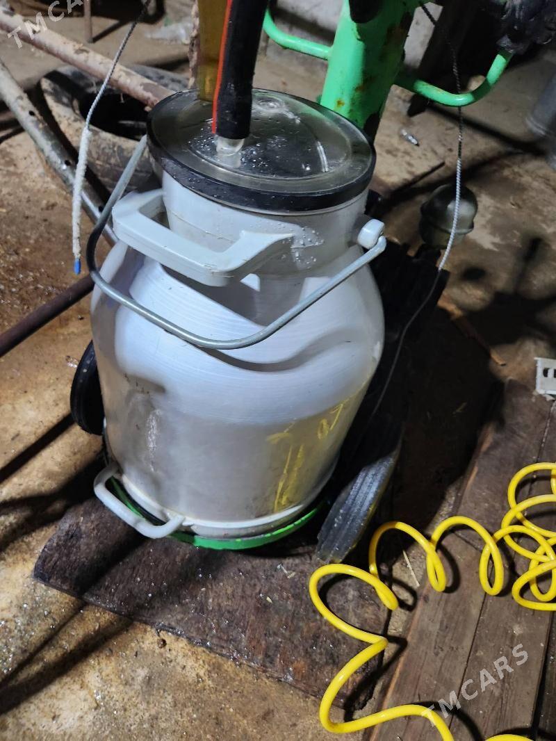 suyt sagyan stanok - Бузмеин - img 1