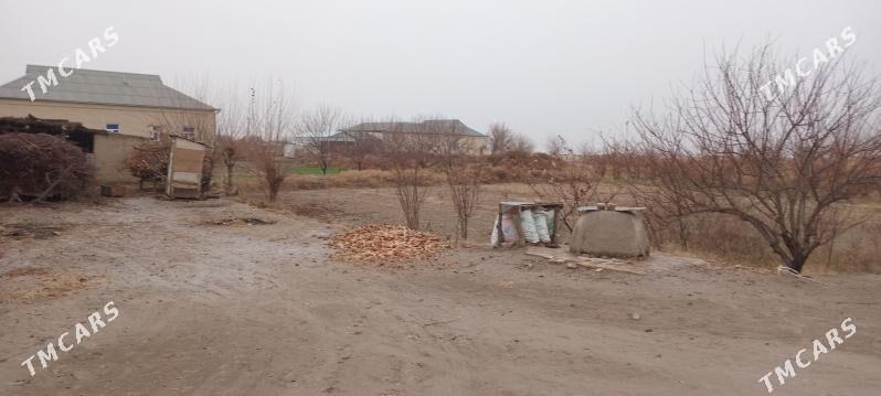 Satlyk yer - Türkmengala - img 1