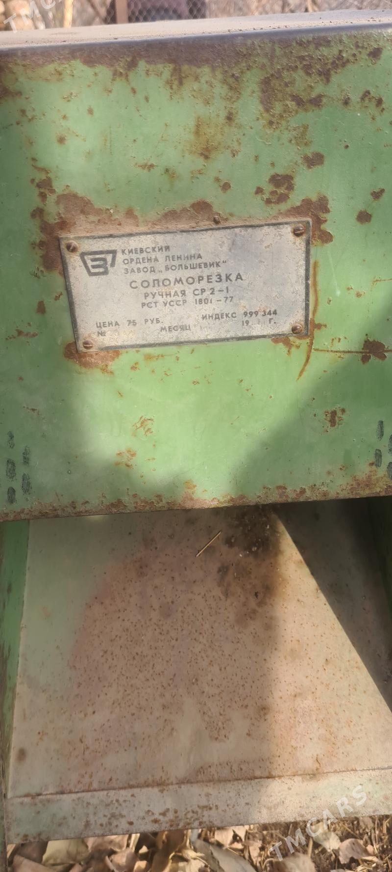 ot çykaryan - Daşoguz - img 1