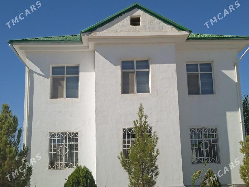 taze zaman katez 1 nji tapgyr - Тязе заман - img 1