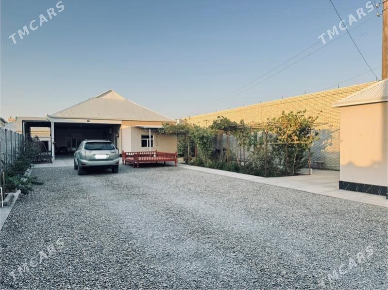 Satlyk Howly Jay - Мары - img 1