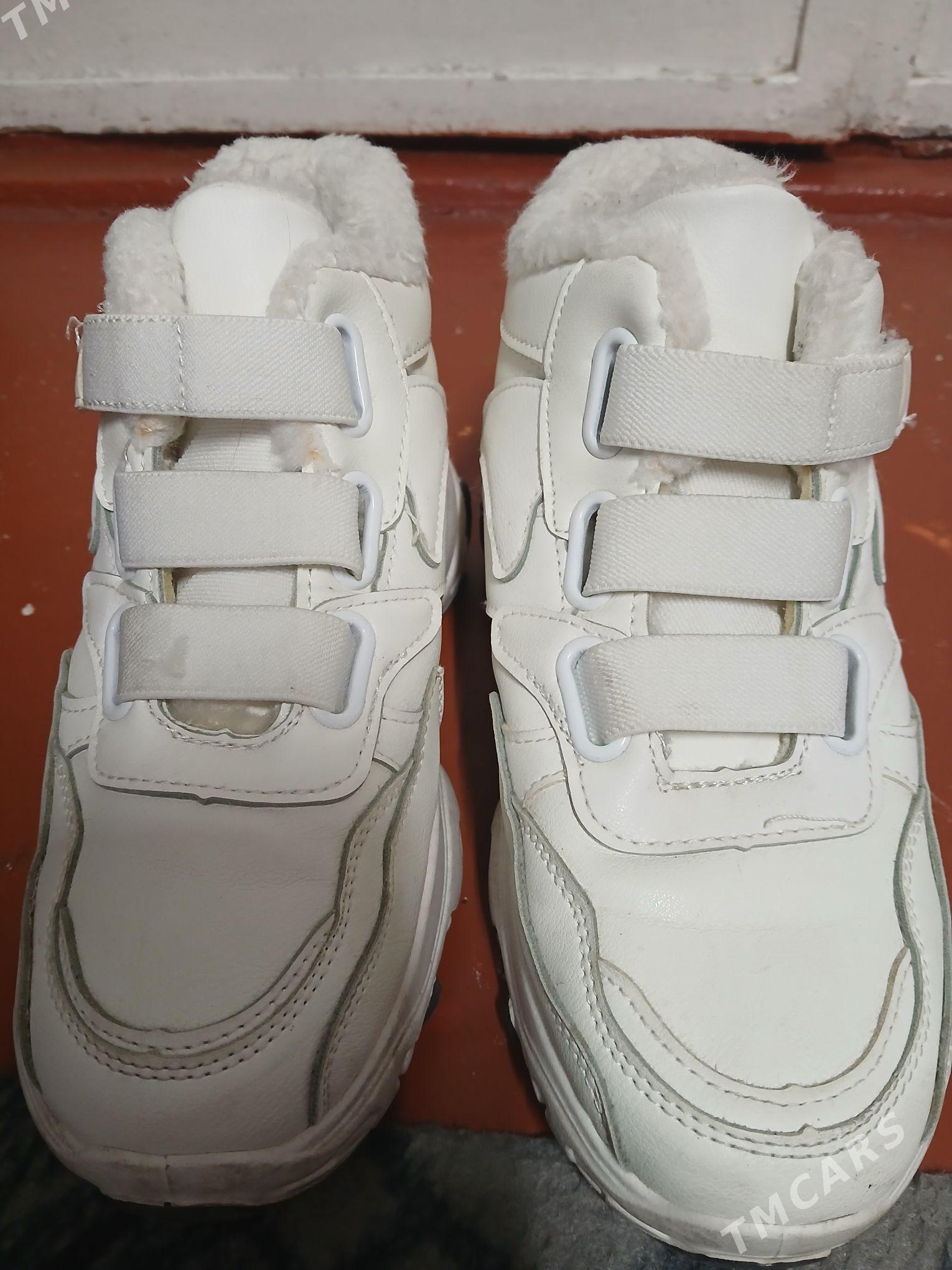 Ak krasowka. - Ашхабад - img 1