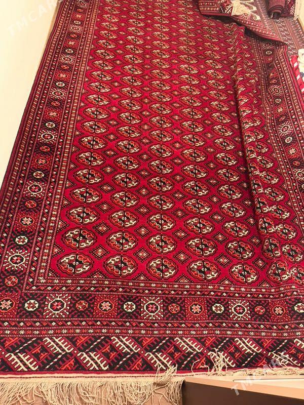 El haly - 11 mkr - img 1