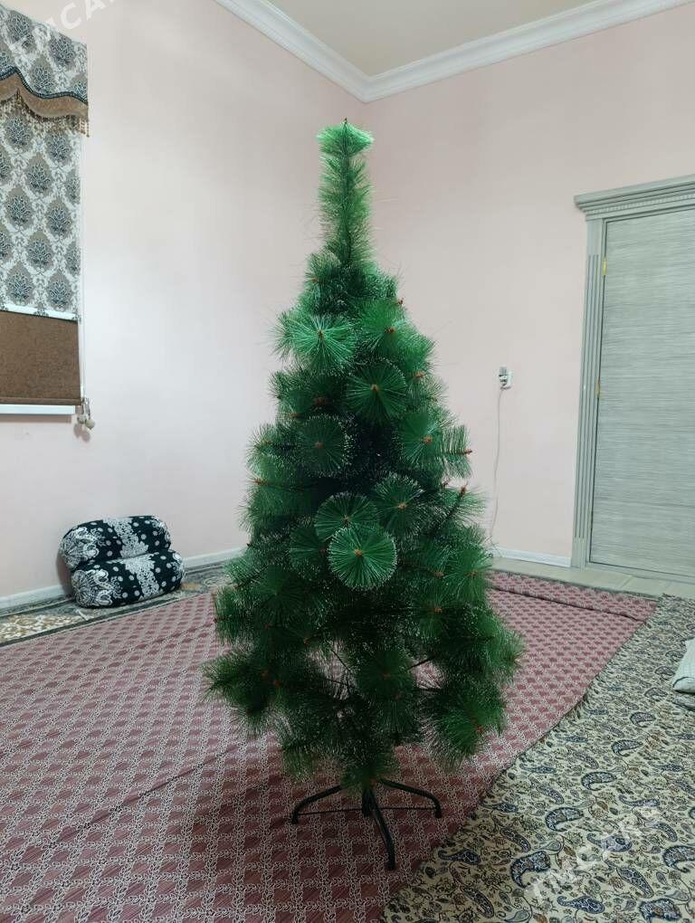 Ýolka - Гумдаг - img 1