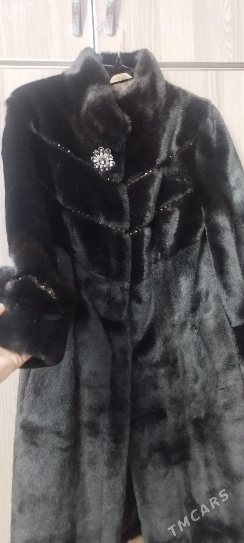 Şuba - Bagyr - img 1