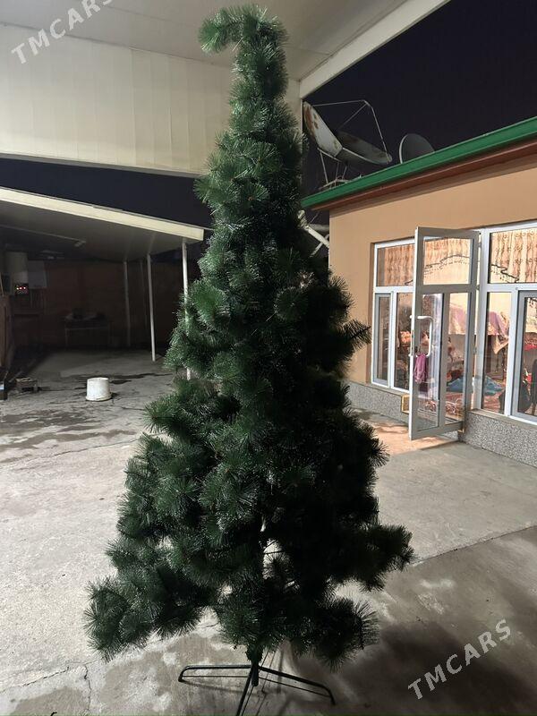 ýolka - Ашхабад - img 1