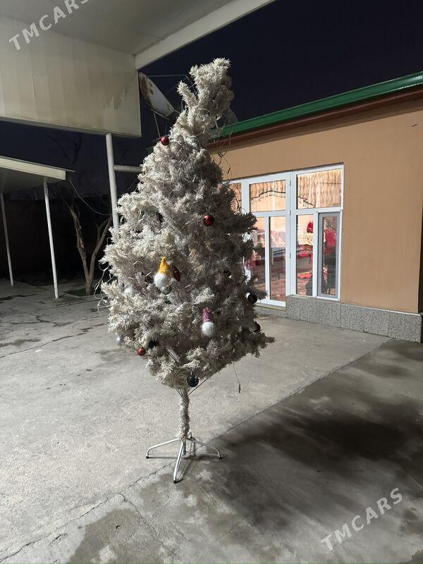 ýolka - Ашхабад - img 1