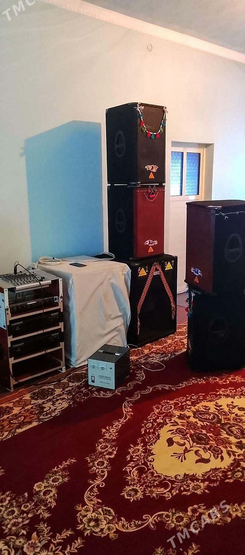 behringer - Эсенгулы - img 1