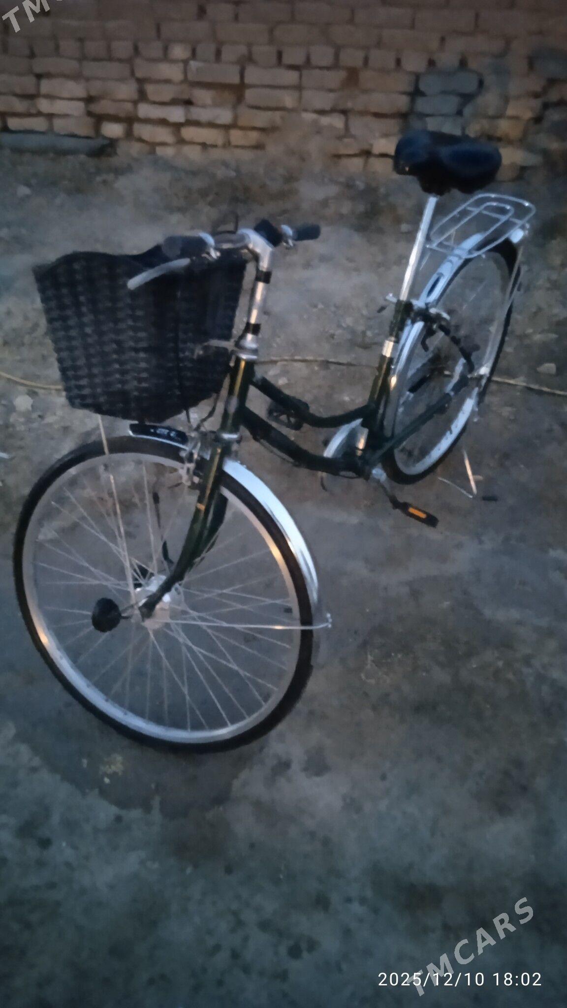 TİGİR 26 lyk - Babadaýhan - img 1