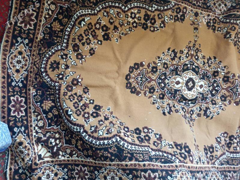 haly - 11 мкр - img 1