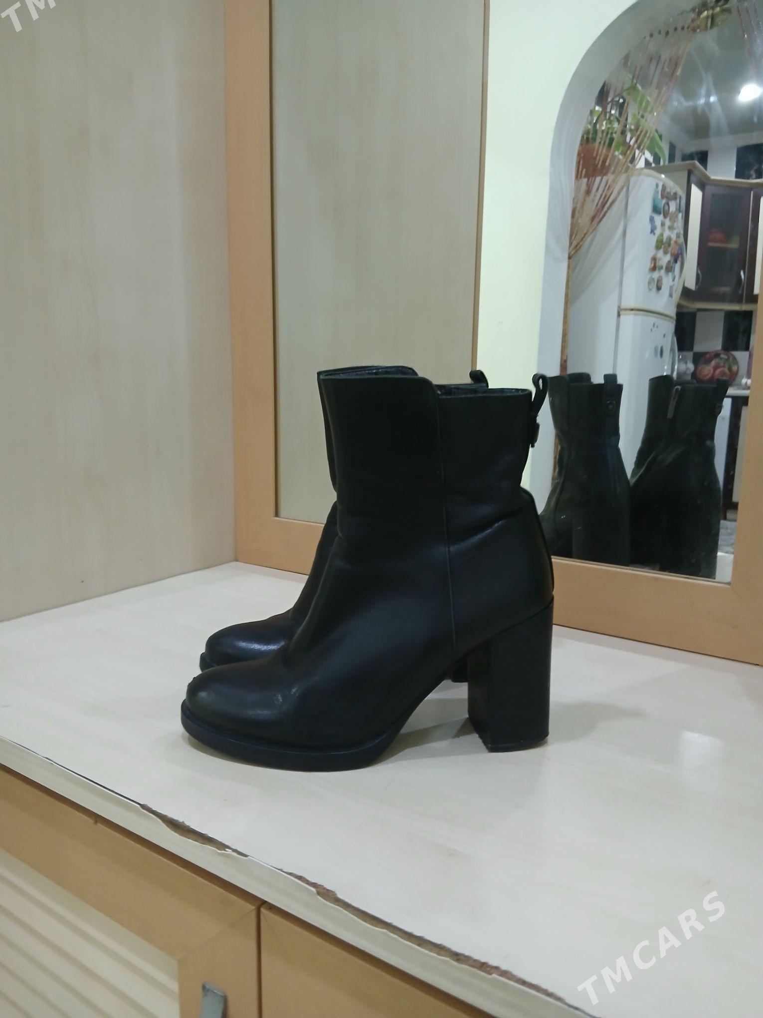 ZENAN EDIK - Бузмеин - img 1