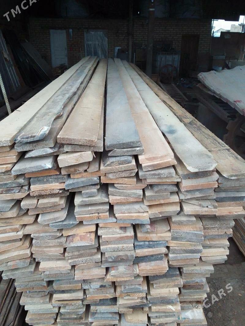 polluk agac - Mary - img 1