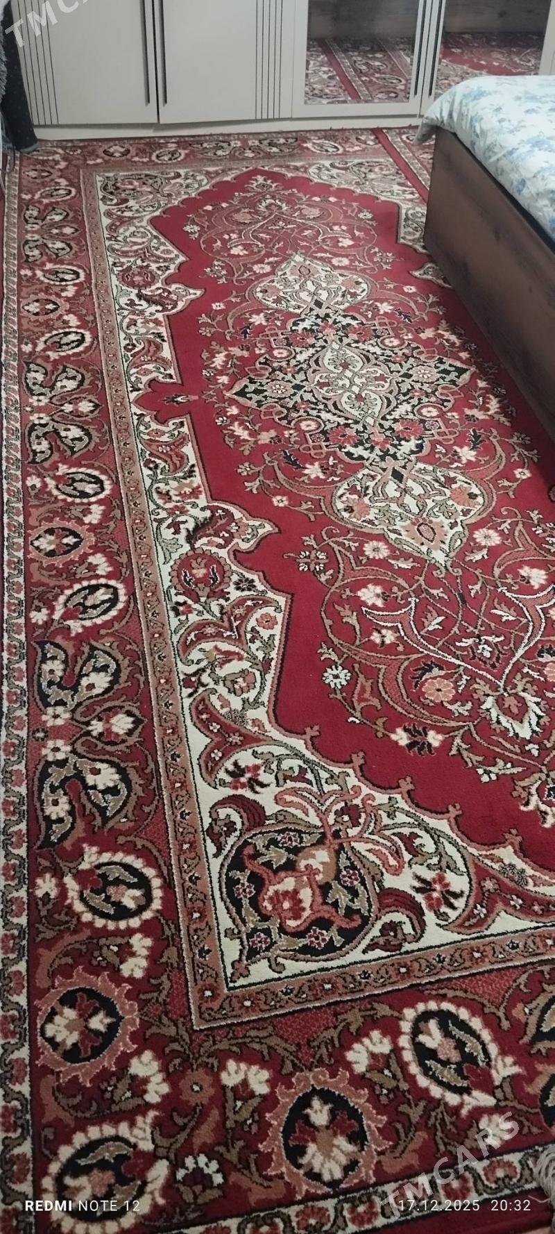 haly - Ашхабад - img 1