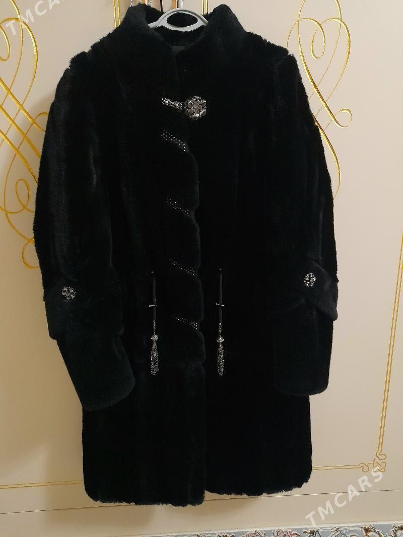 shuba - Aşgabat - img 1