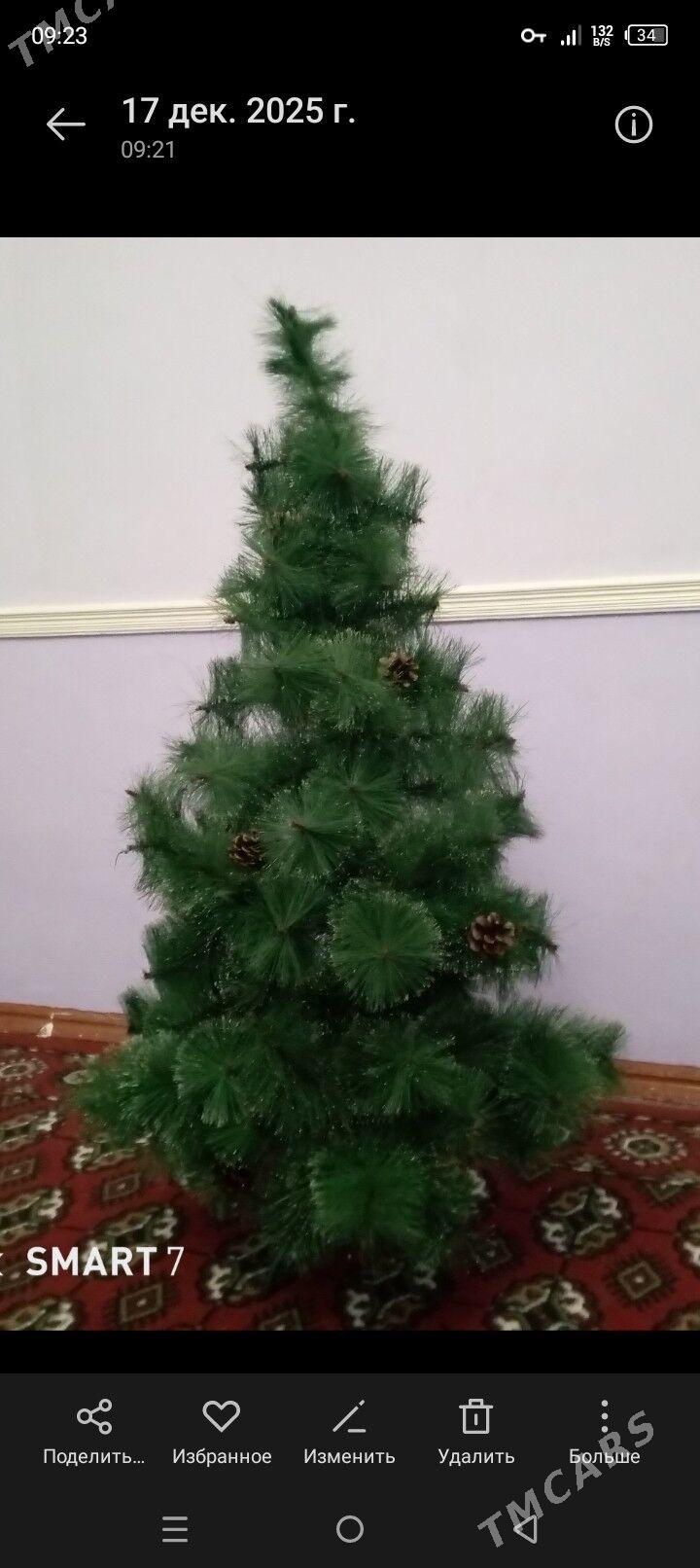 ýolka - Daşoguz - img 1