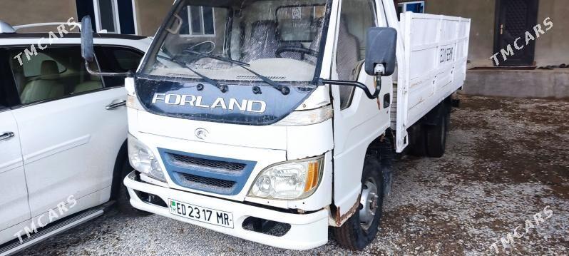 Forland H2 2010 - 55 000 TMT - Mary - img 1