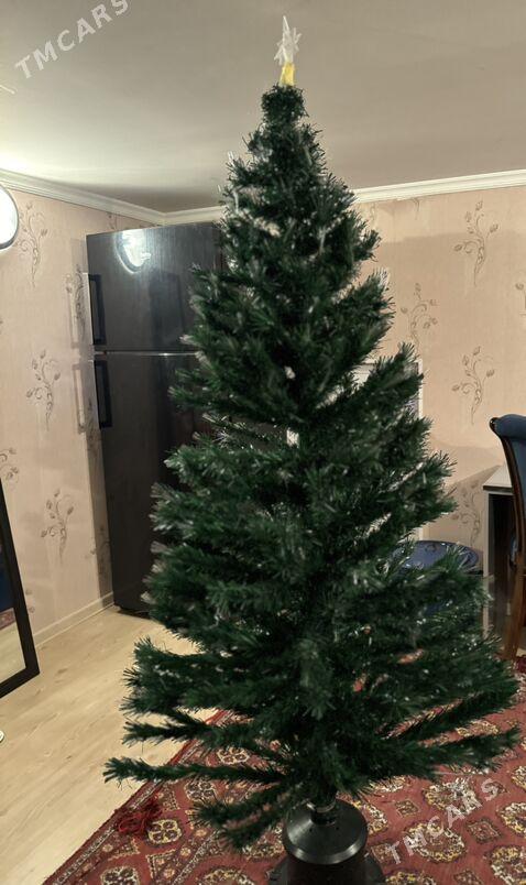 Елка - Туркменбаши - img 1