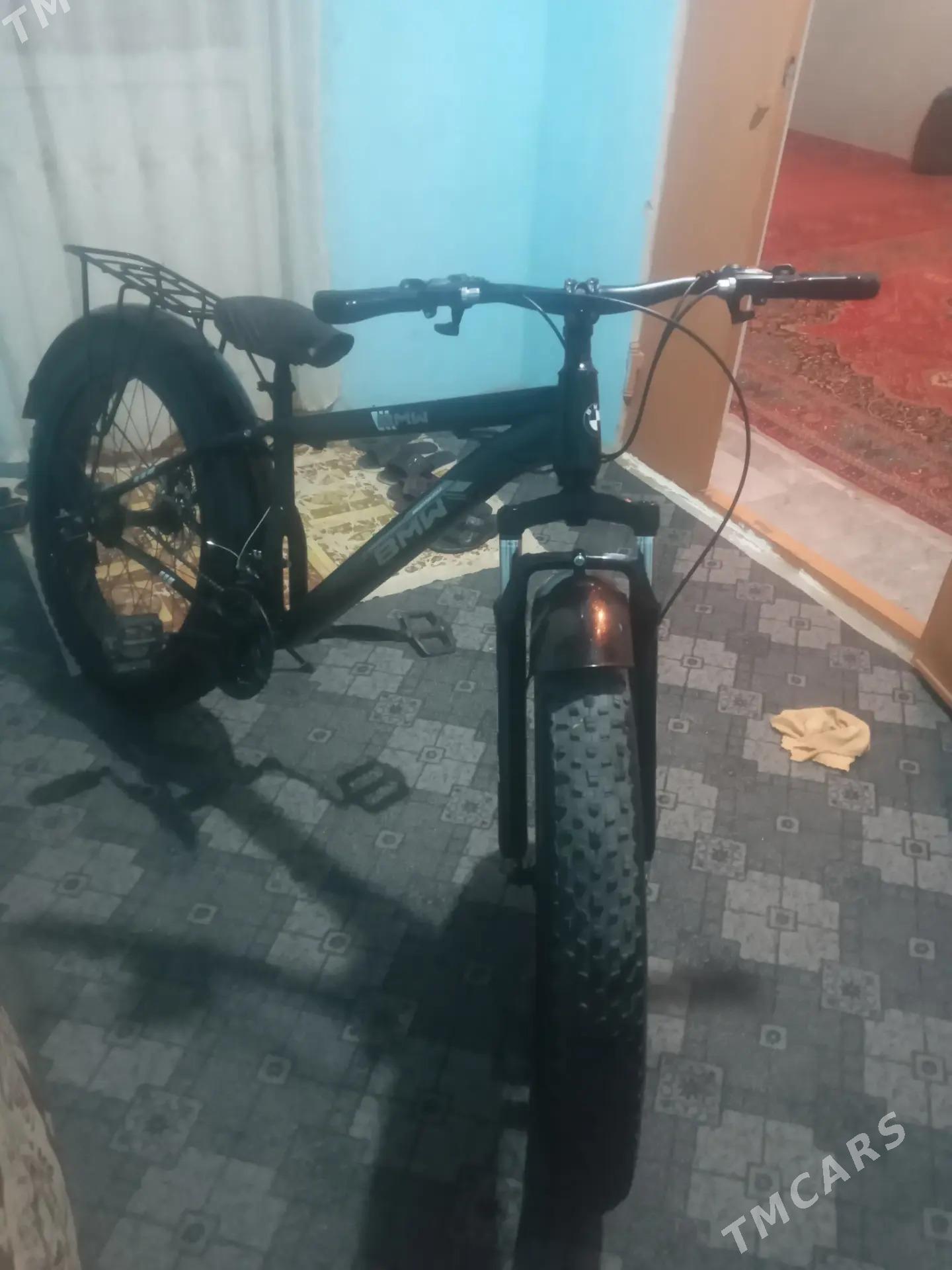 tigir - Гумдаг - img 1