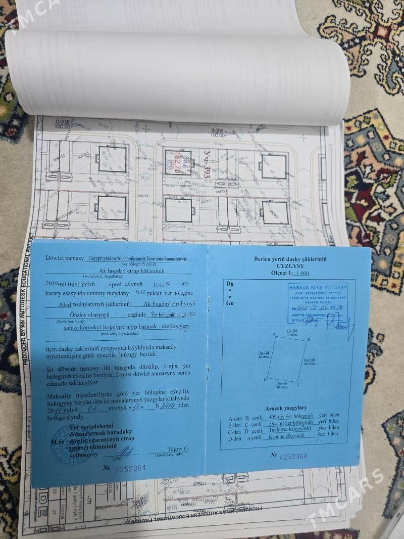 Öňally boş ýer - Ak bugdaý etraby - img 1