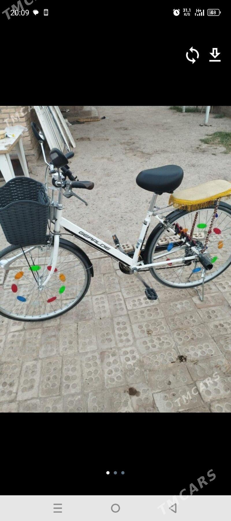 welsepit - Mary - img 1