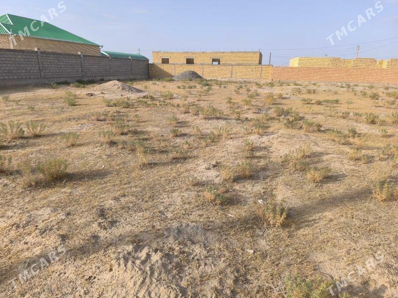 obmen ucaska - Кака - img 1