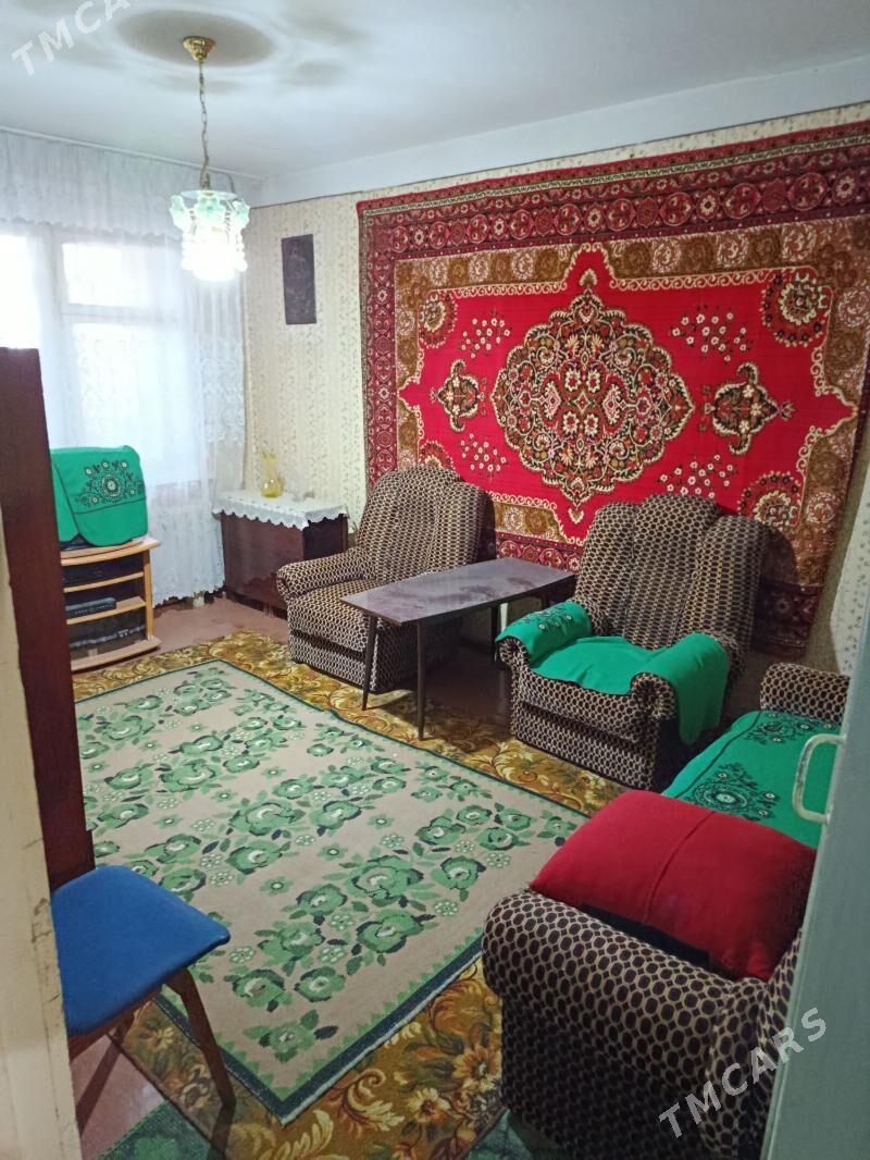 Satlyk jay - Mary - img 1