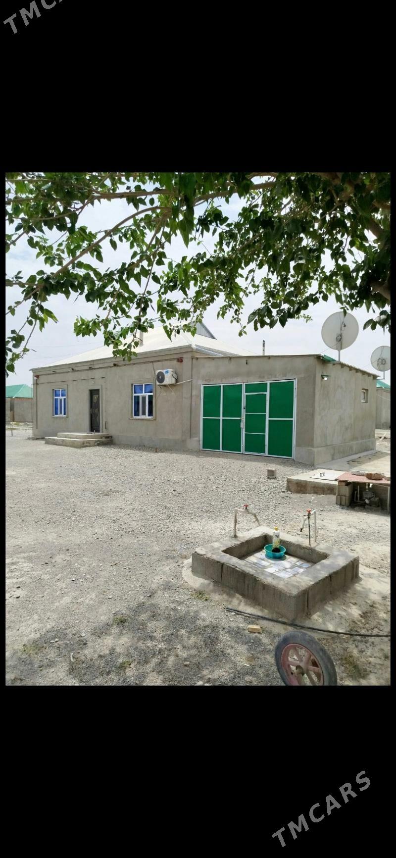 plan jay uly howly - Бахарден - img 1