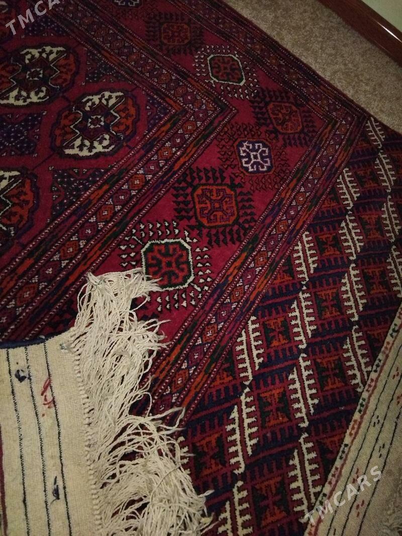 el haly artil - Howdan "A" - img 1