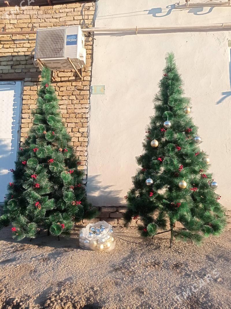 Yolka Arca - Гороглы (Тагта) - img 1