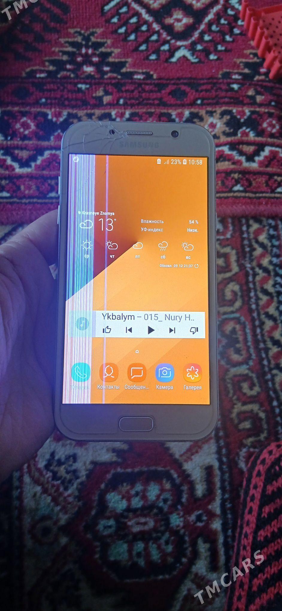 a7 17 - Sakarçäge - img 1