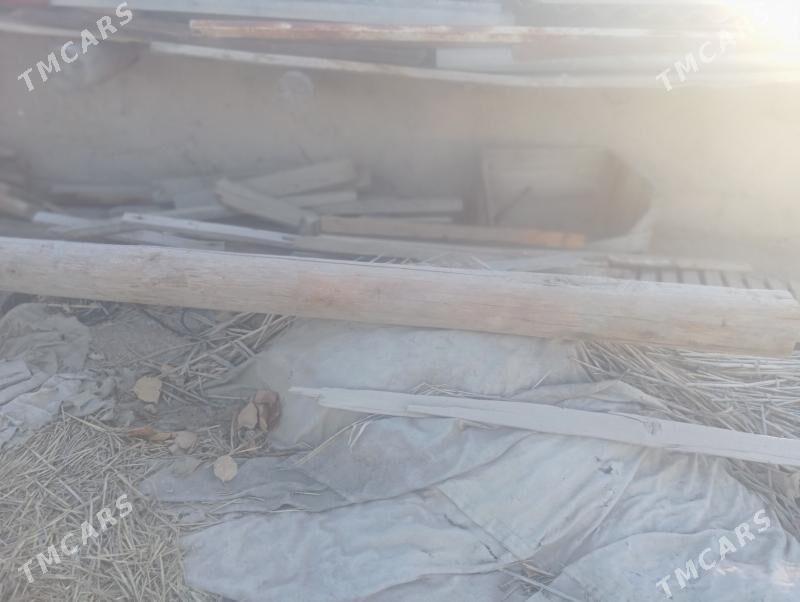 agac - Şabat etr. - img 1