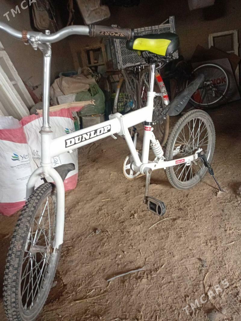 kama - Murgap - img 1