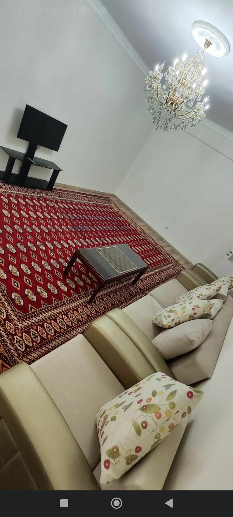 TAZE GURTLY - Гуртли - img 1